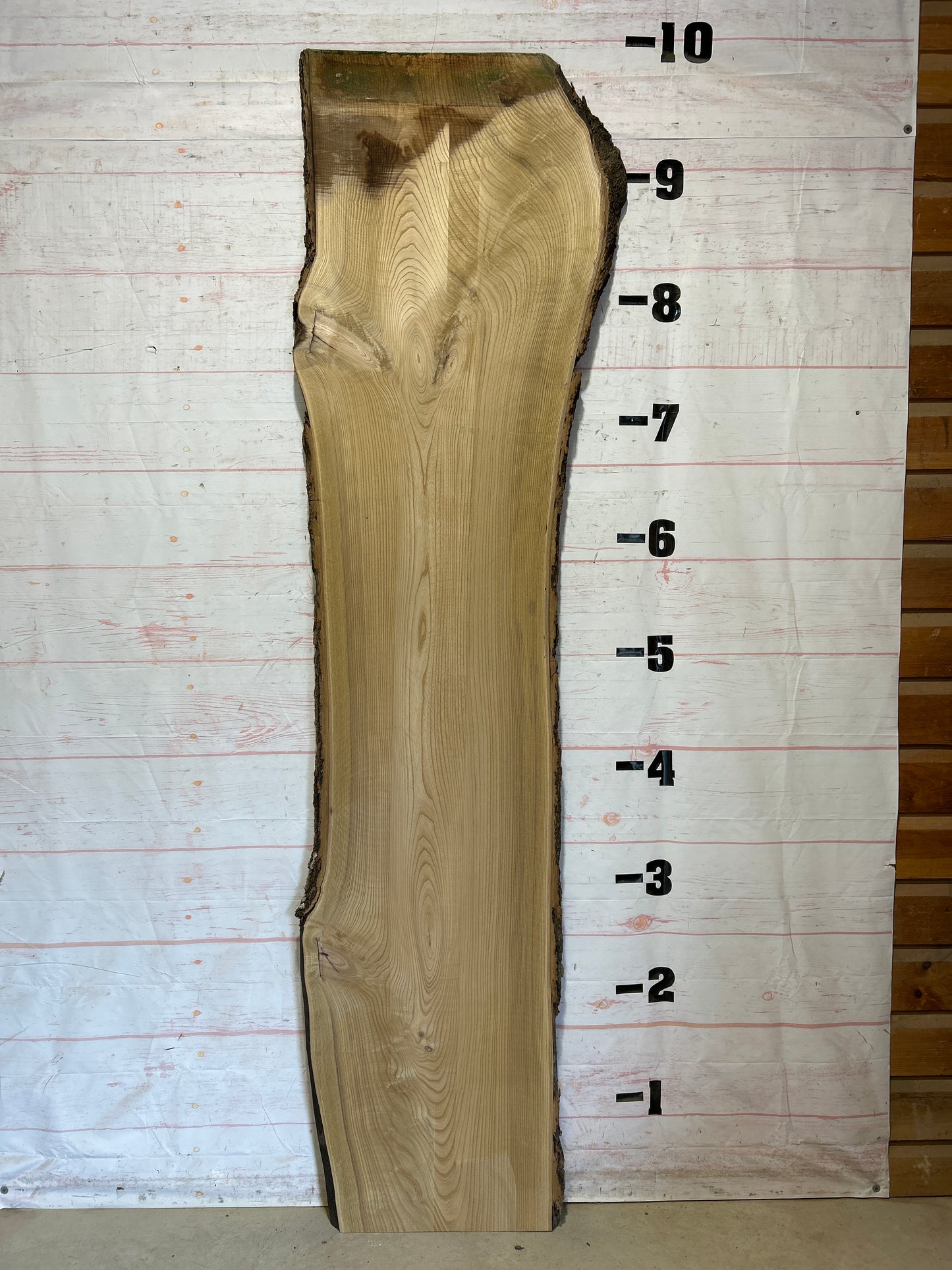 Live Edge Catalpa Sku#27628-40