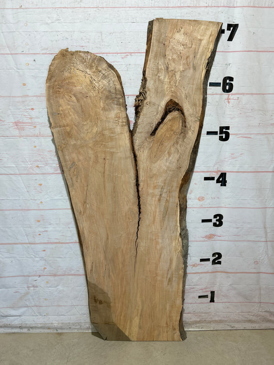 Live Edge Maple Sku#28429B-29