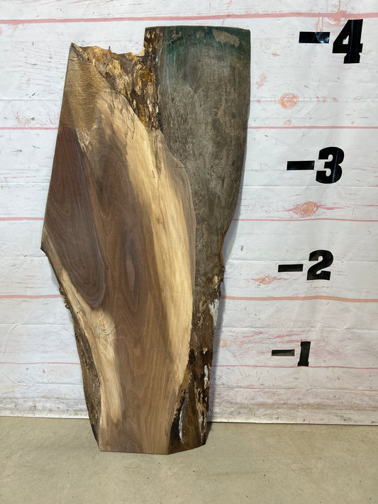 Live Edge Walnut Sku#27695M-13