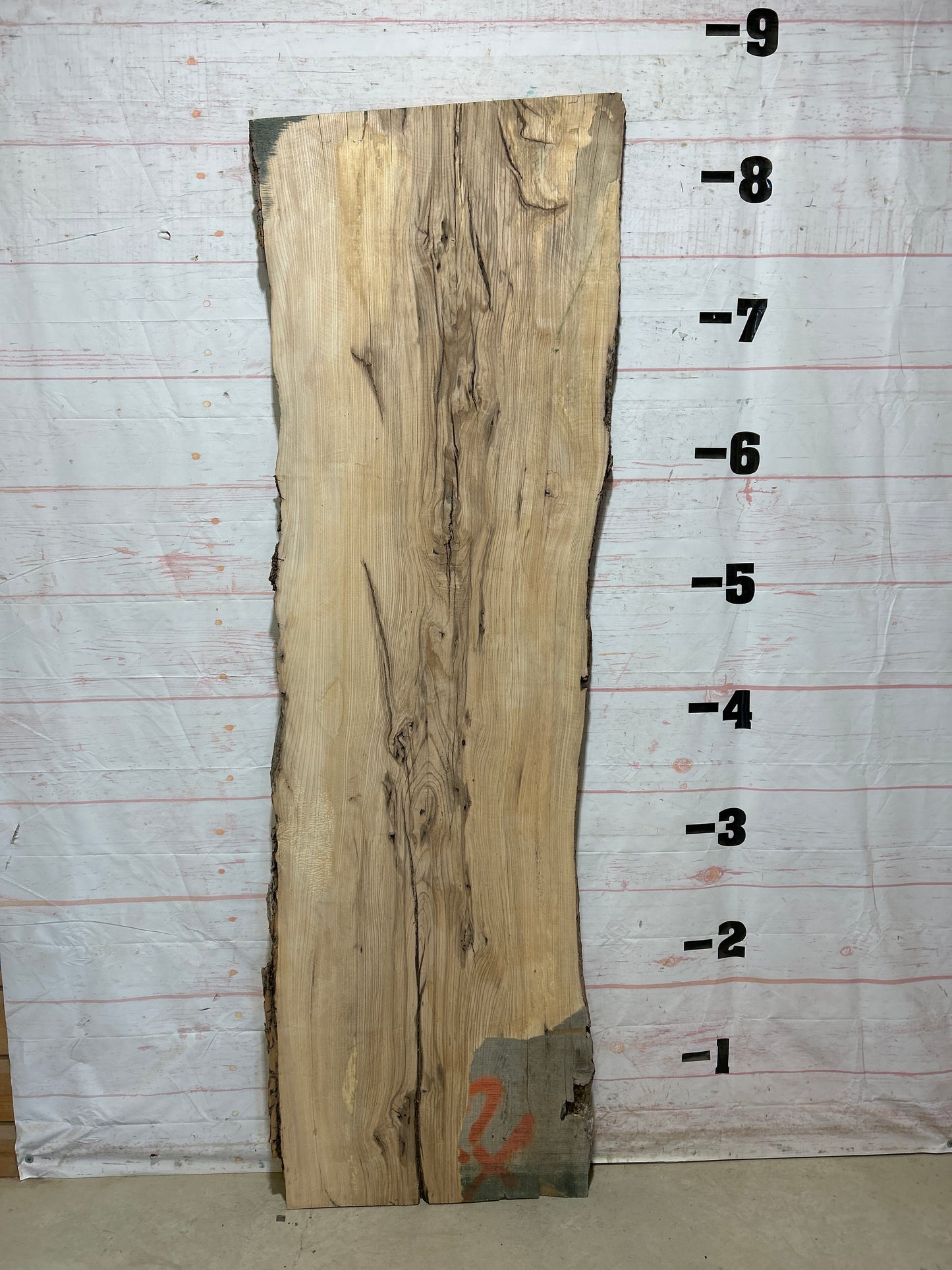 Live Edge Ash Sku#27607-43