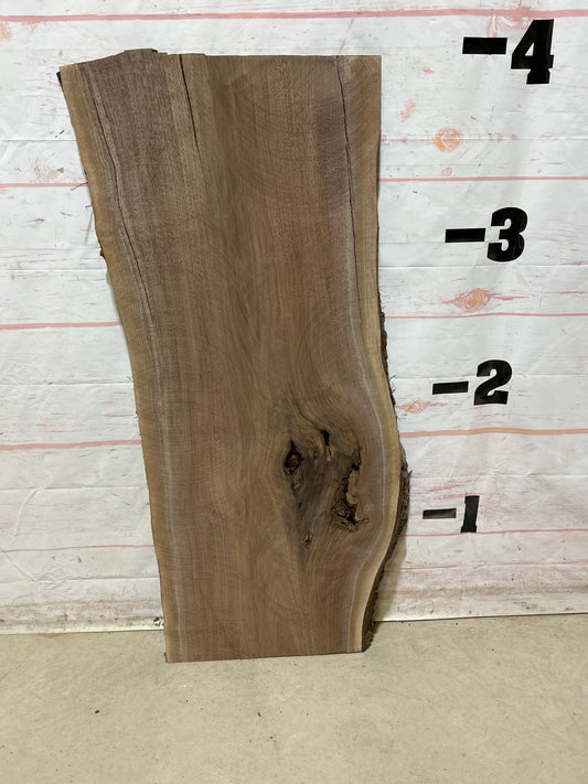 Live Edge Walnut Sku#27401M-12