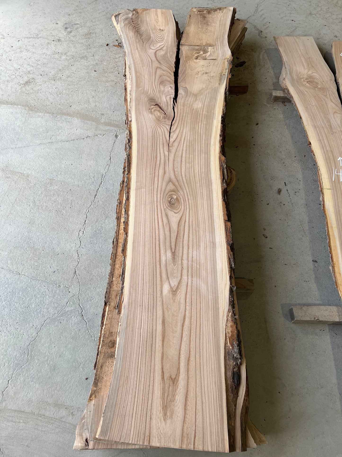 Live Edge Elm Sku# 26596S-58