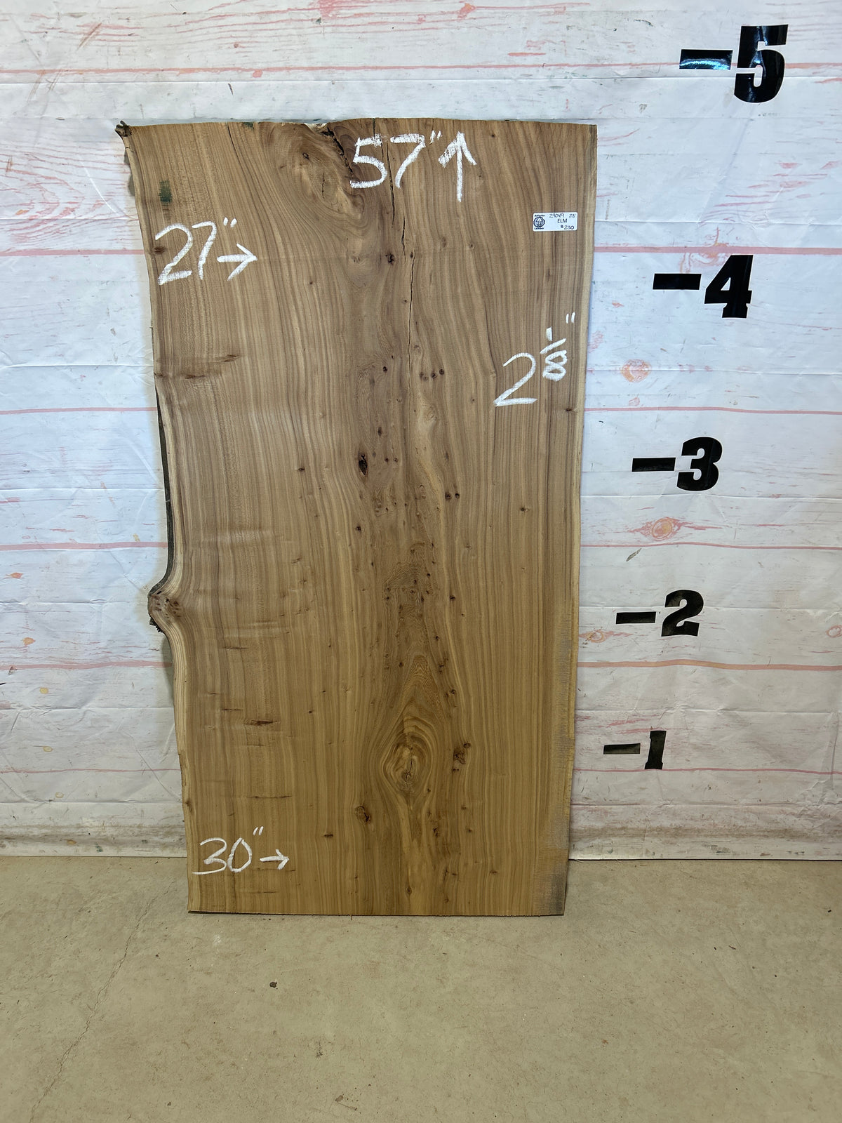 Live Edge Elm Sku#29049D-23
