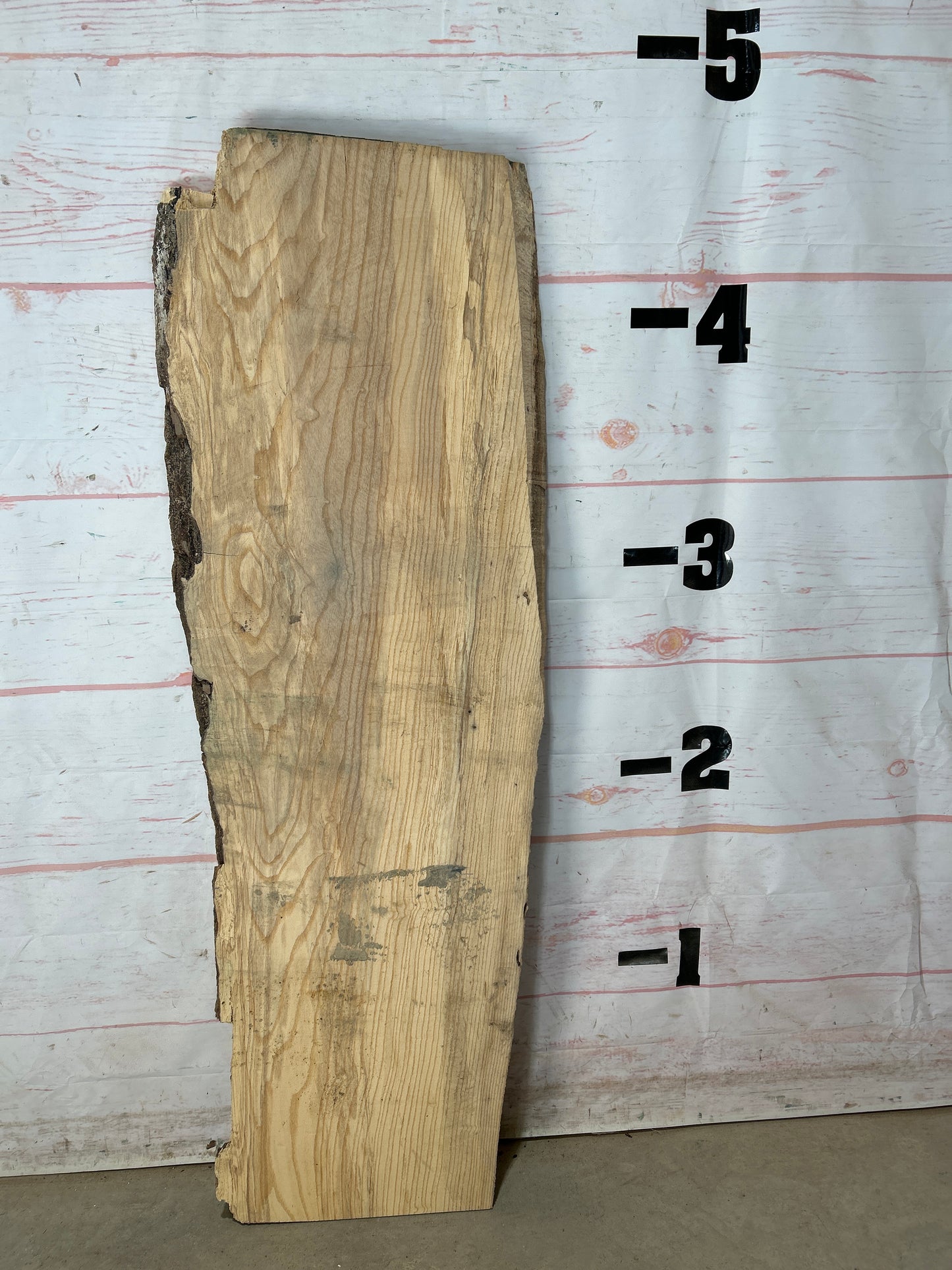 Live Edge Ash Sku#27119M-12