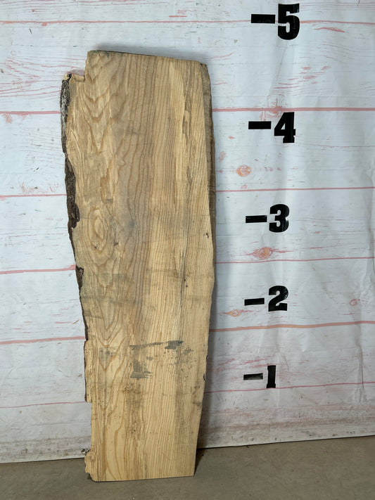 Live Edge Ash Sku#27119M-12