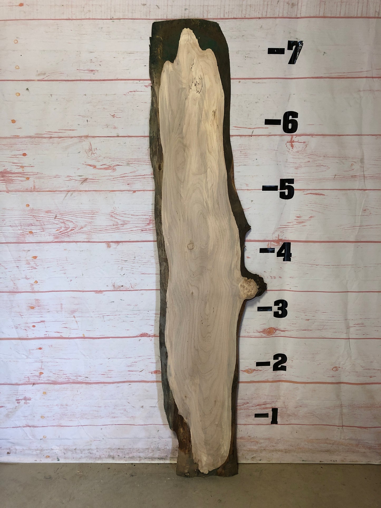 Live Edge Maple Sku# 22975E-16