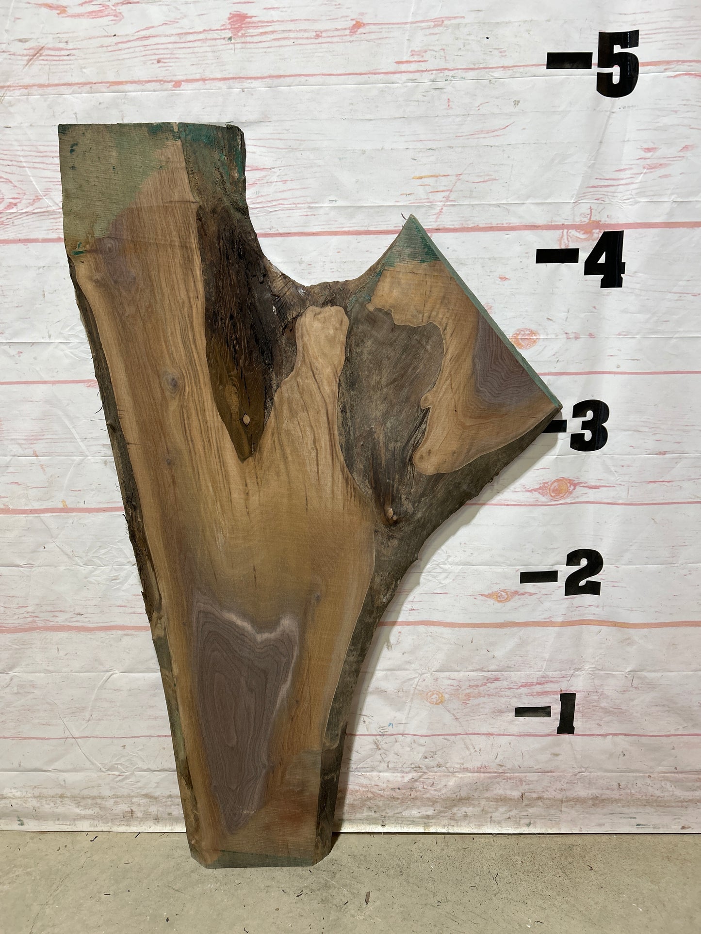 Live Edge Walnut Sku#26856M-14