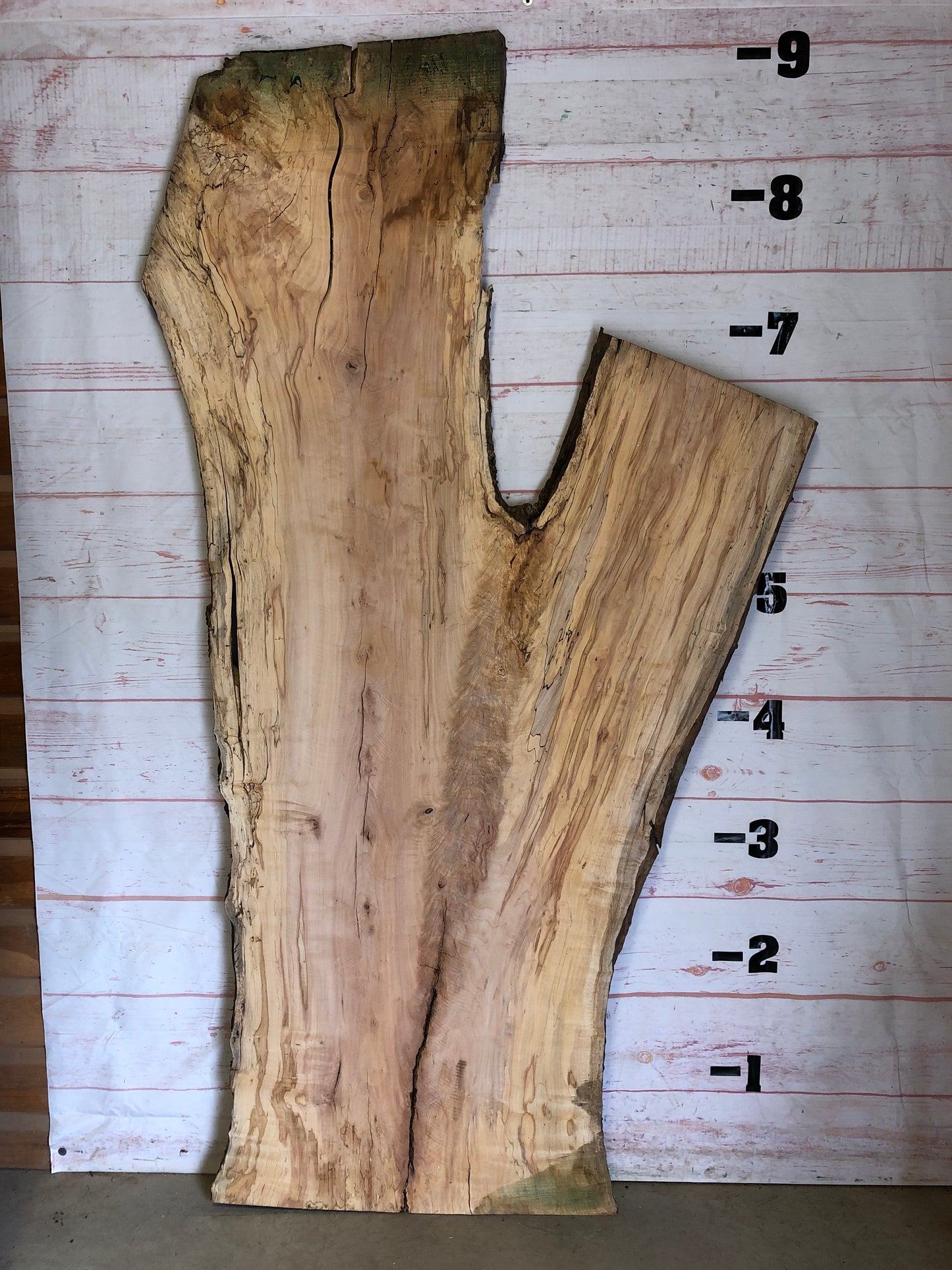 Live Edge Spalted Maple Sku#23551S-64
