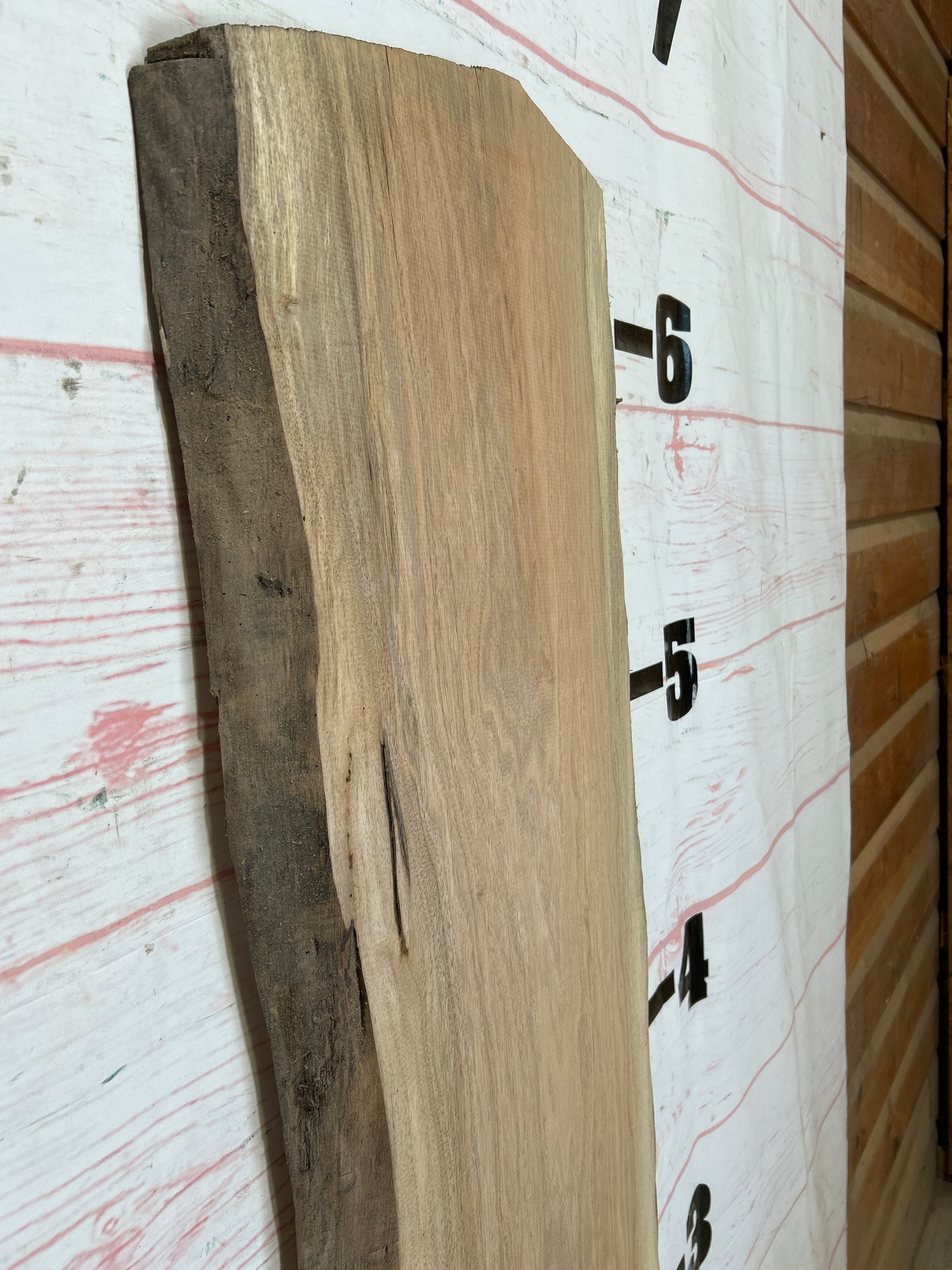 Live Edge Butternut Sku#25932C-13