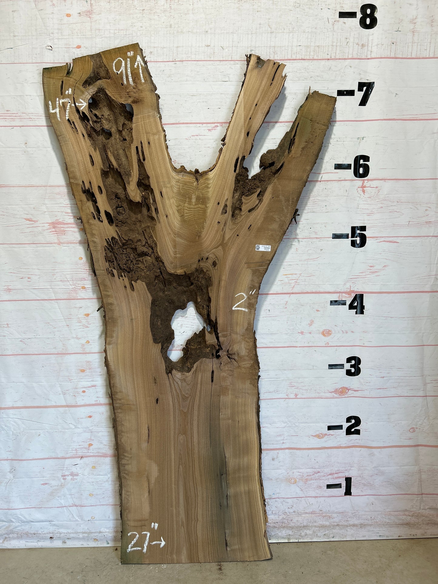 Live Edge Catalpa Sku#25899-47