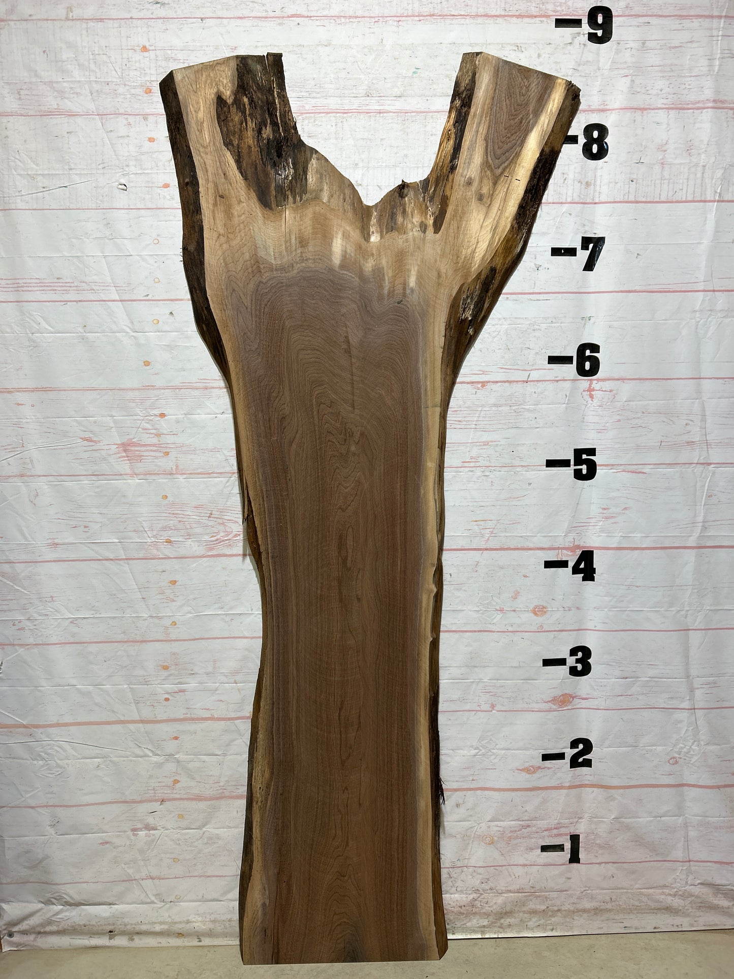Live Edge Walnut Sku#26606J-50