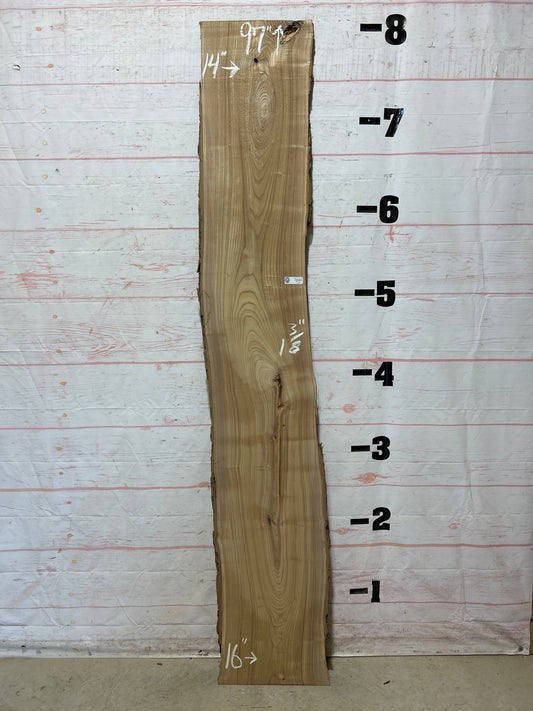 Live Edge Catalpa Sku#26314-15