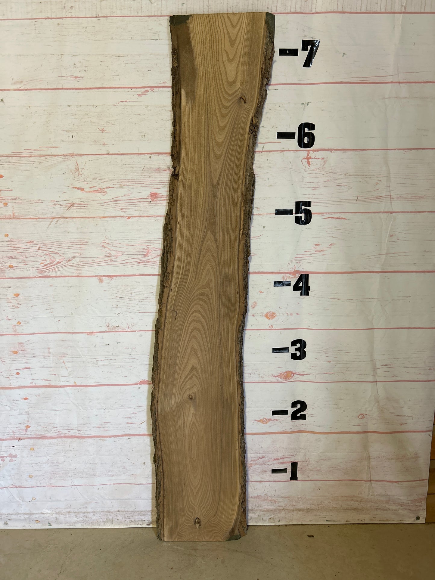 Live Edge Catalpa Sku#24951-16