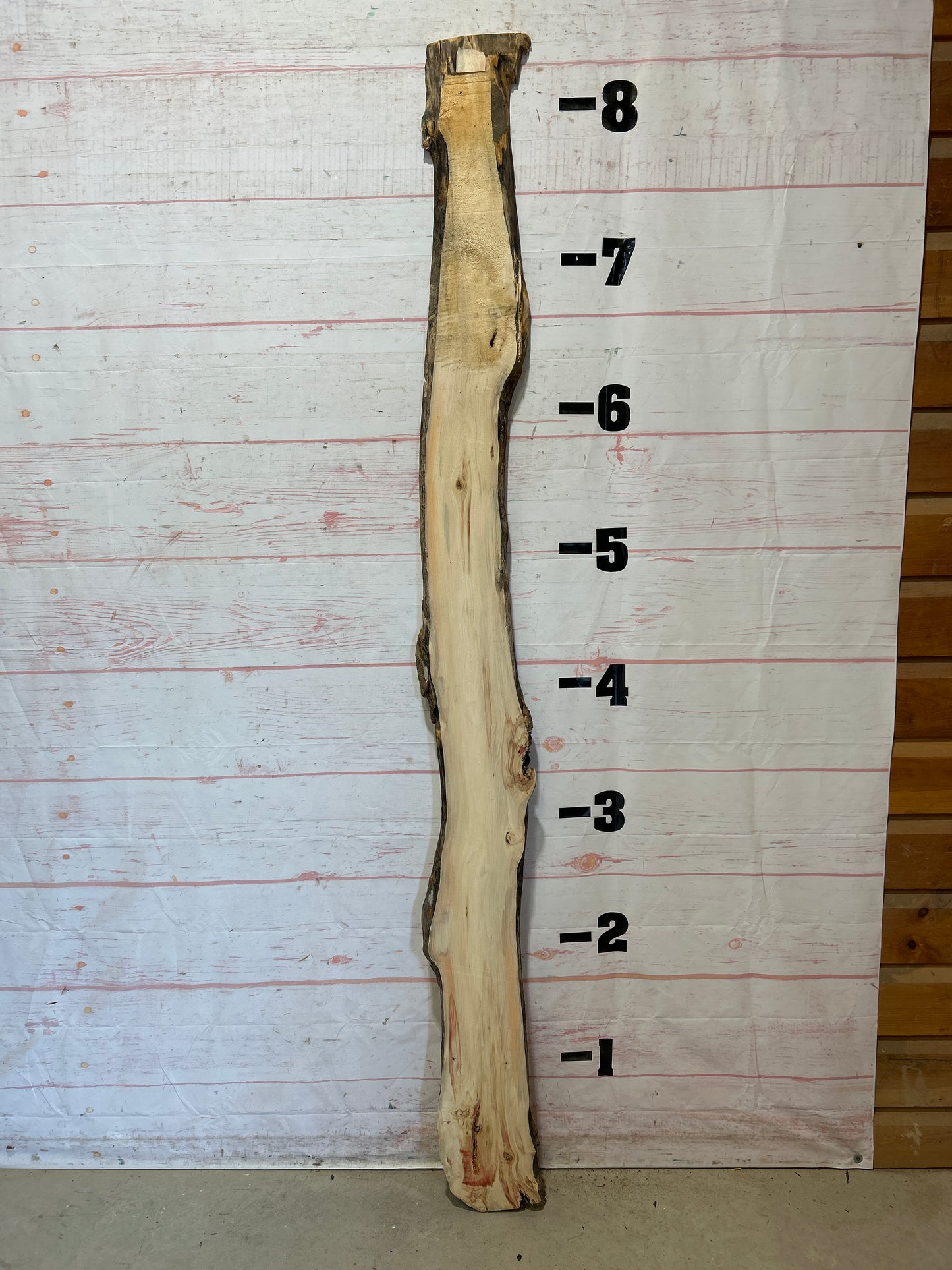 Live Edge Box Elder Sku#25751D-8