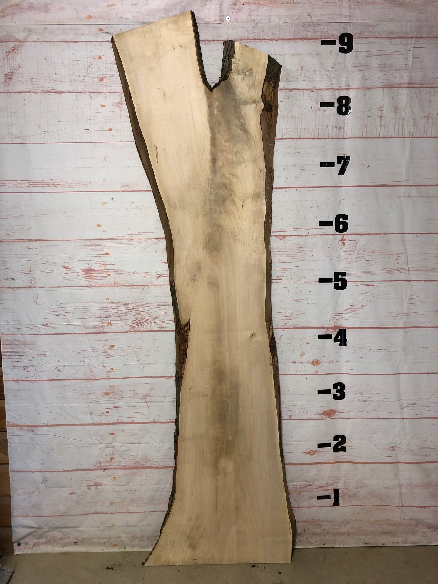 Live Edge Maple Sku# 22511B-43