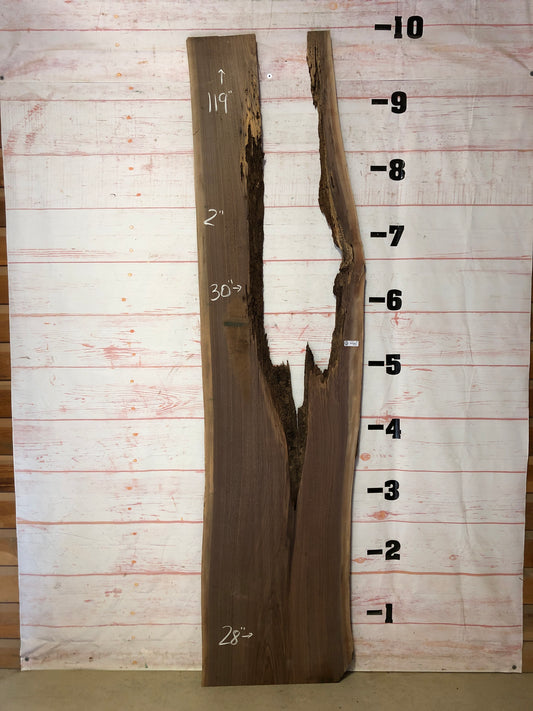 Live Edge Walnut  Sku# 21369-48