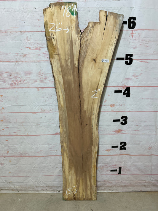 Live Edge Beech Sku#25252H-23