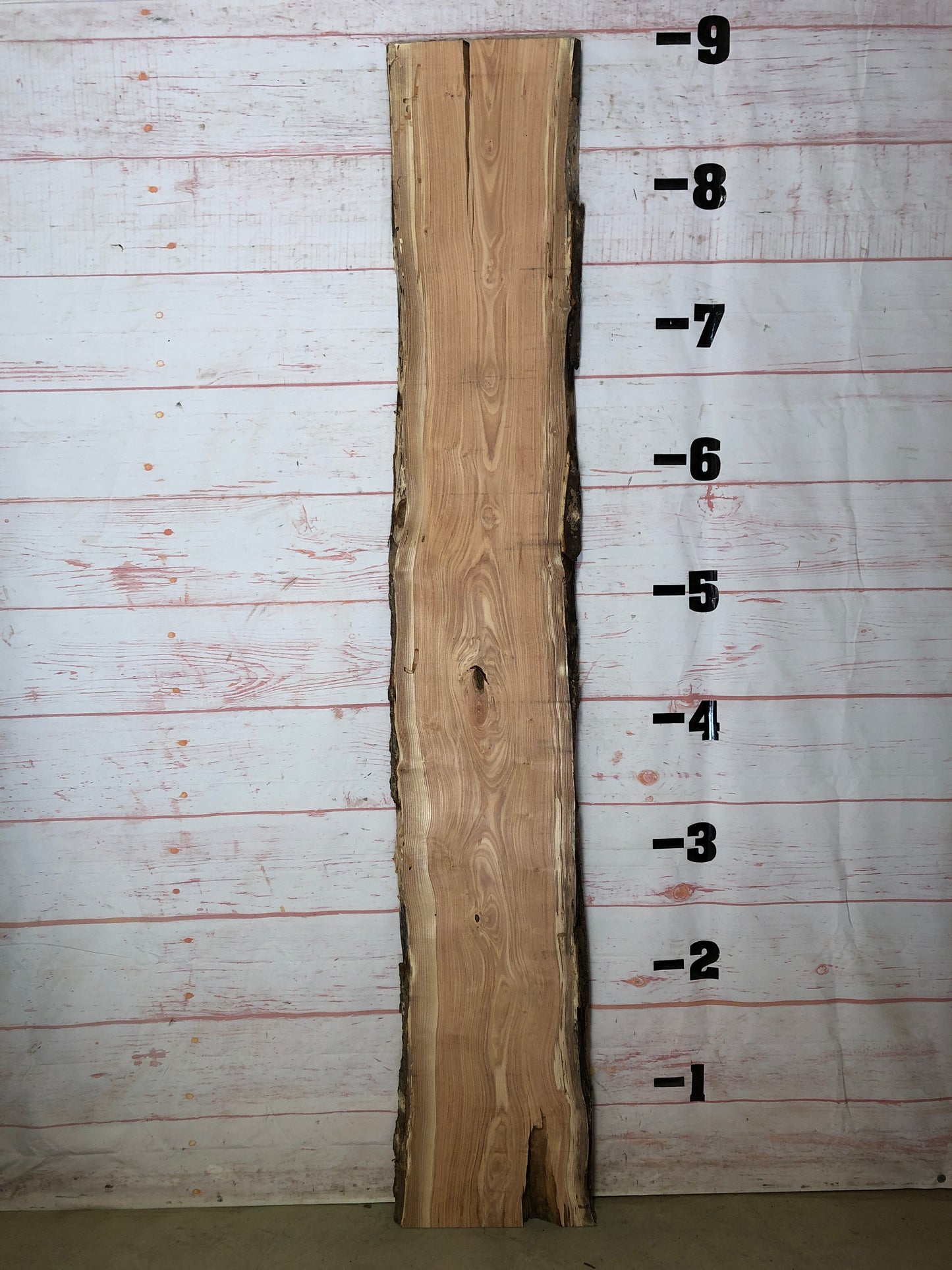 Live Edge Honey Locust Sku# 22184-26