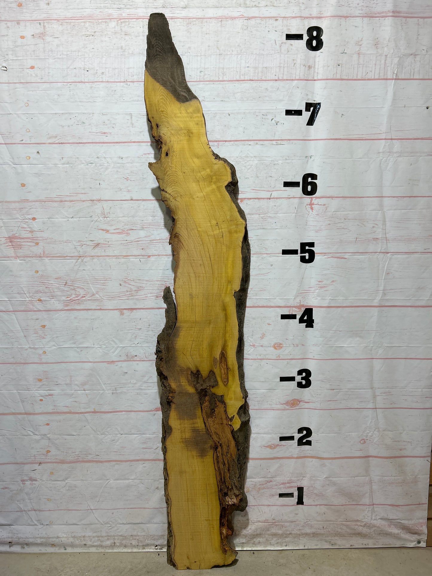 Live Edge Osage Orange Sku#27036B-18