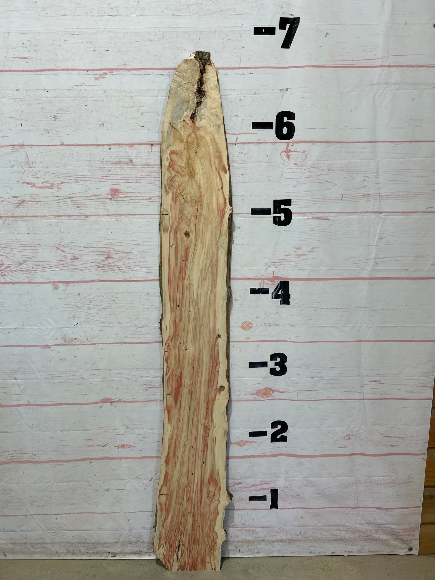 Live Edge Box Elder Sku#25743D-8