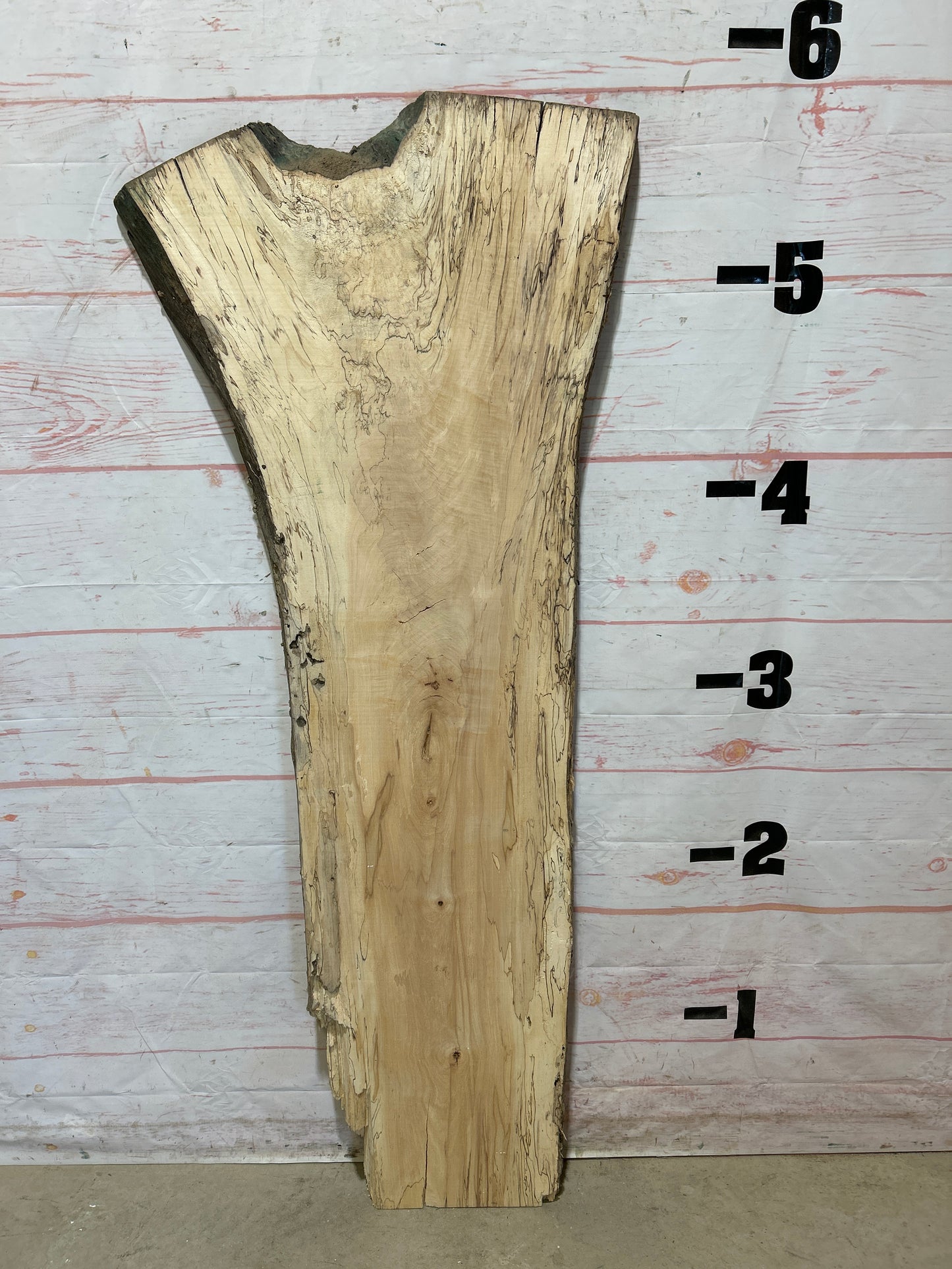 Live Edge Spalted Maple Sku#25275B-21