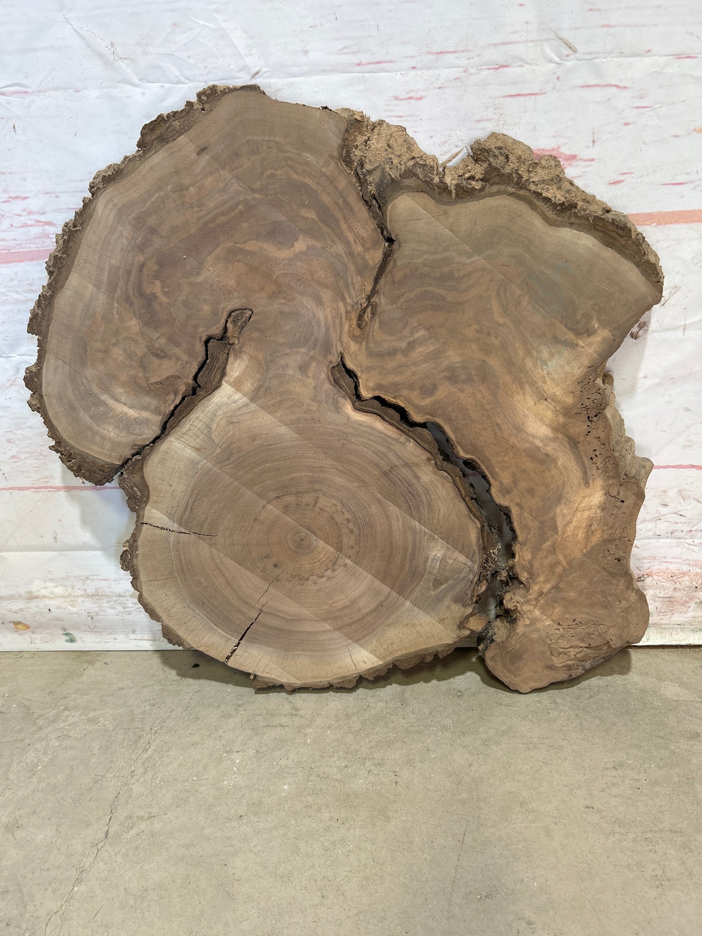Live Edge Walnut Sku#26560