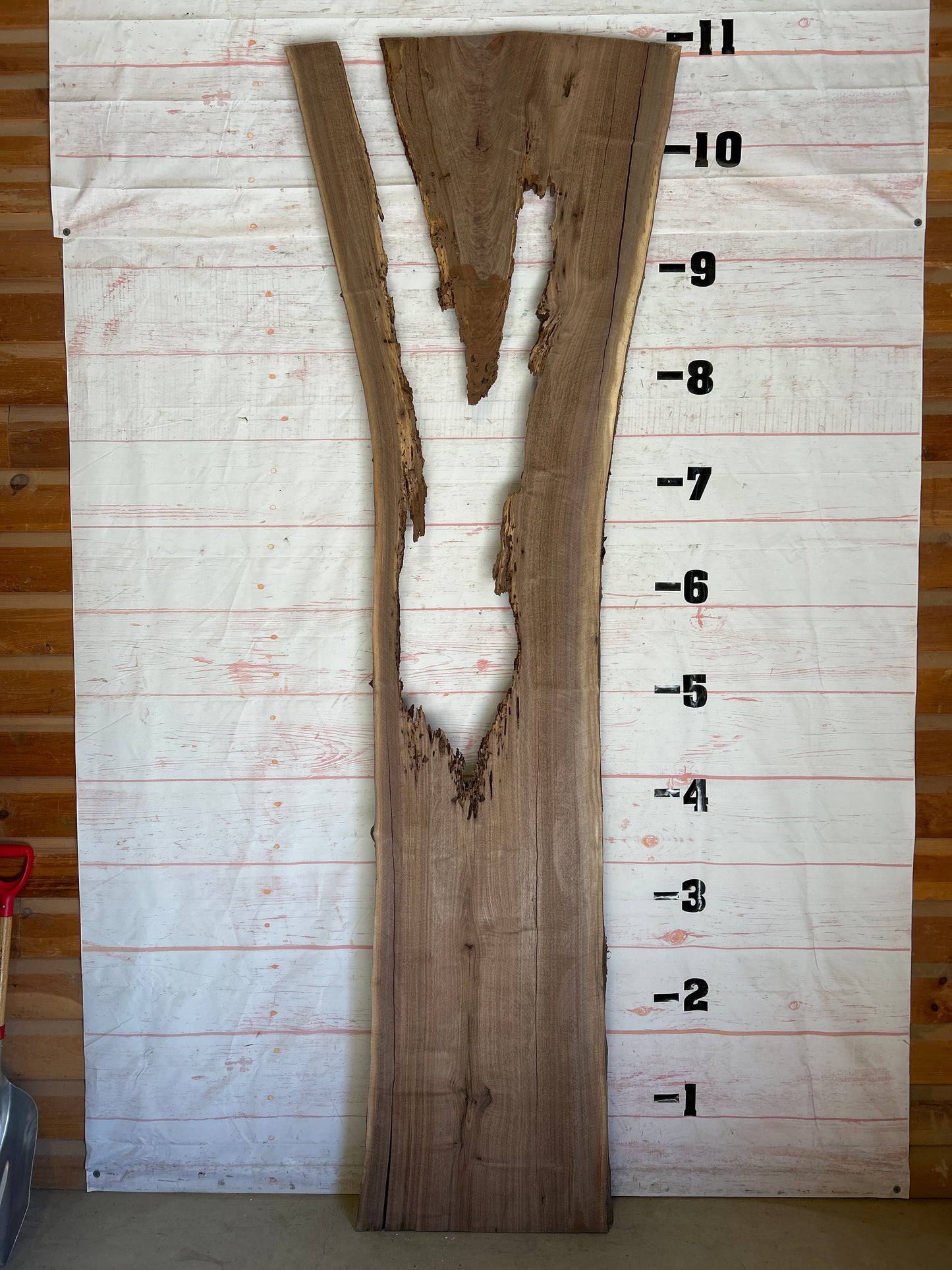 Live Edge Walnut Sku#24880-61