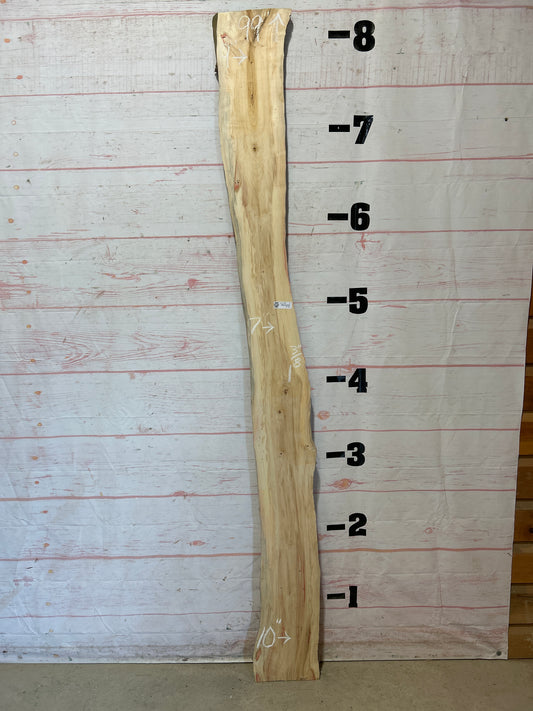 Live Edge Box Elder Sku#25749D-9