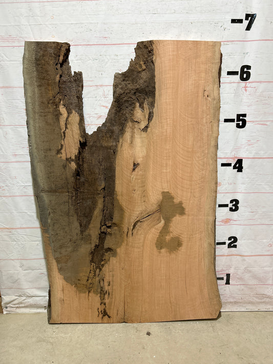 Live Edge Cherry Sku#26880-56