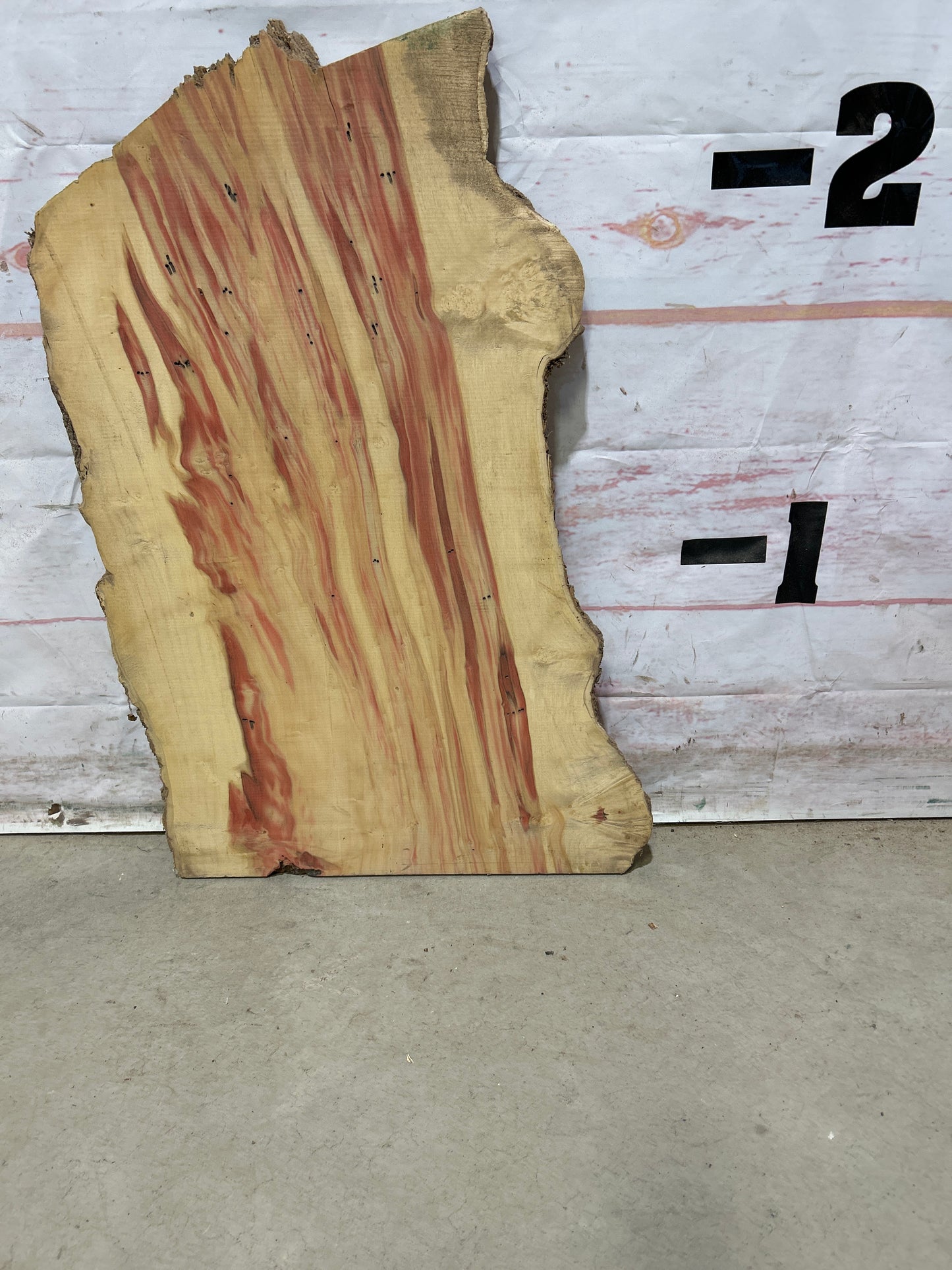 Live Edge Box Elder Sku#26552M-5