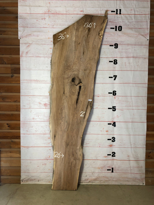 Live Edge Butternut Sku# 21442-51