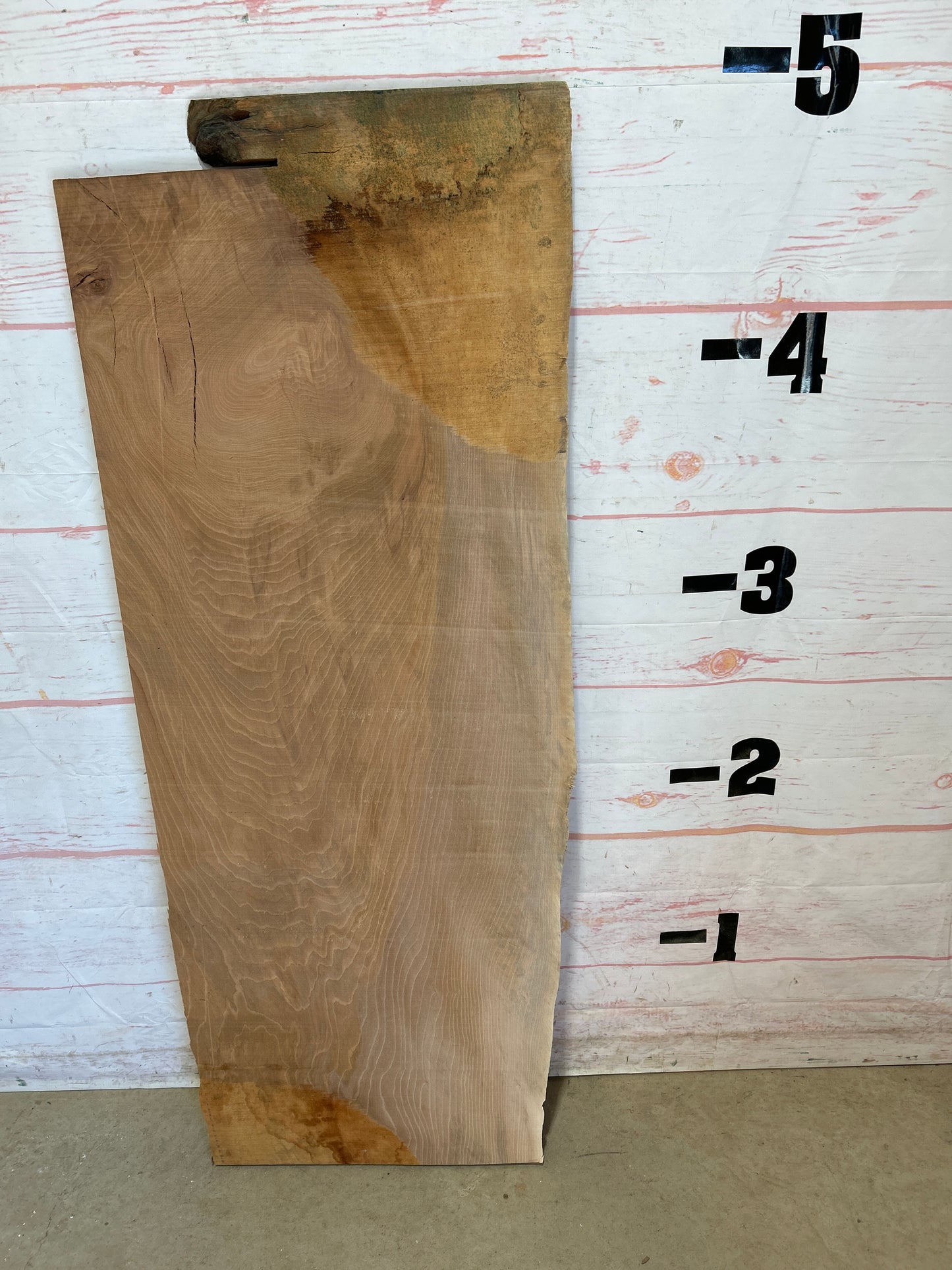 Live Edge Sycamore Sku#25534-16