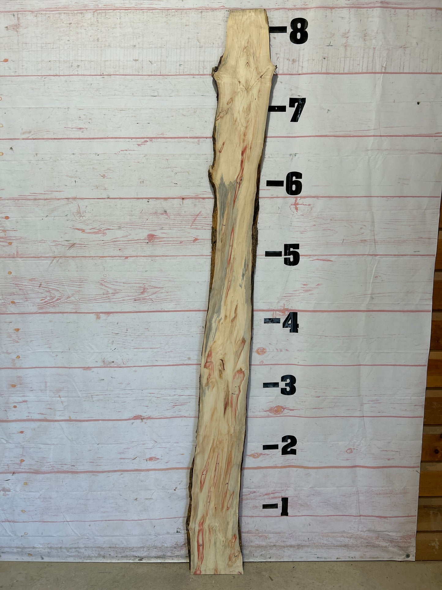 Live Edge Box Elder Sku#25718D-8