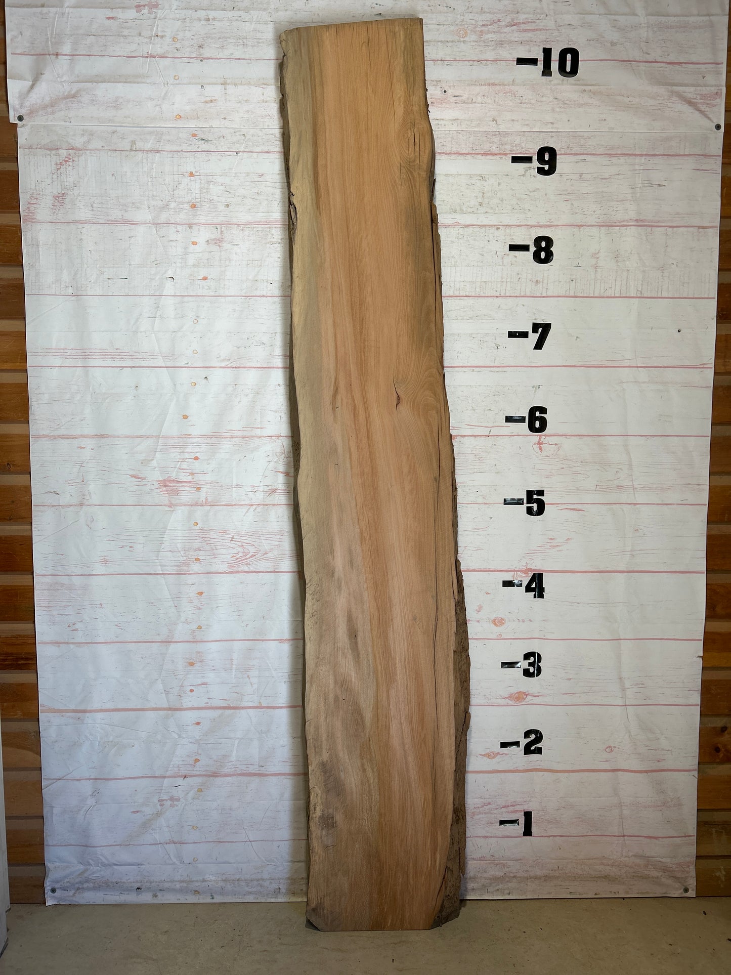 Live Edge Sycamore Sku#26536-47