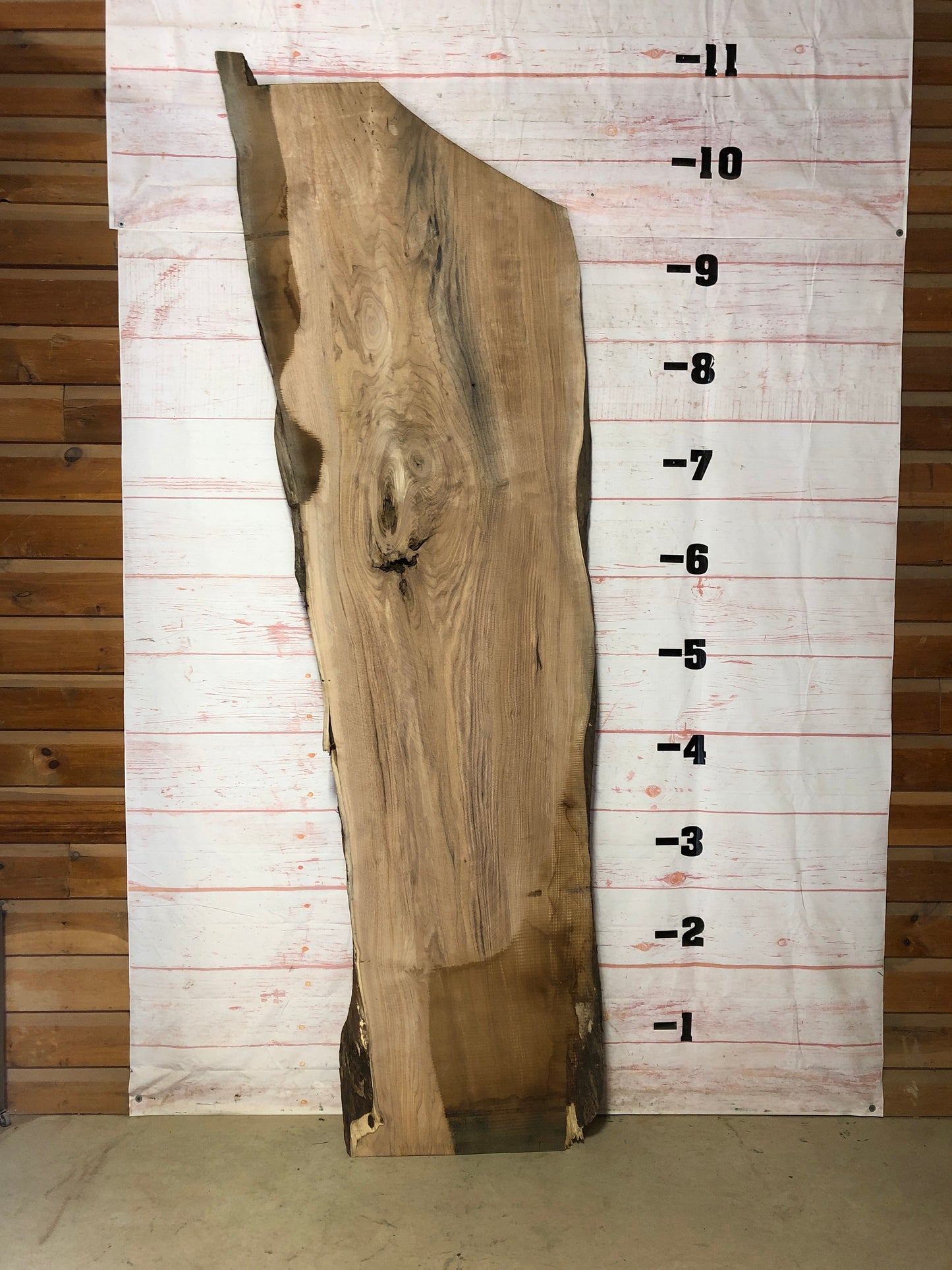 Live Edge Butternut Sku# 21443-65