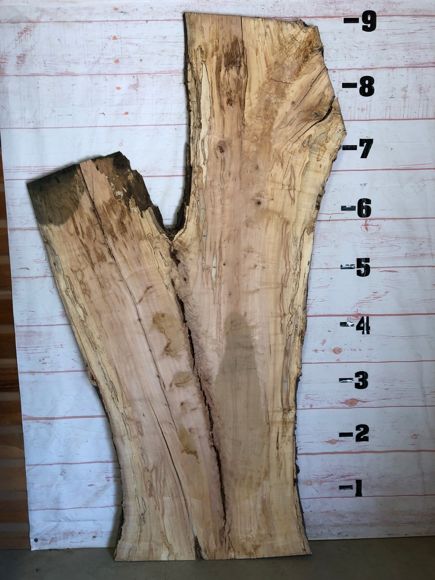 Live Edge Spalted Maple Sku#23549S-67