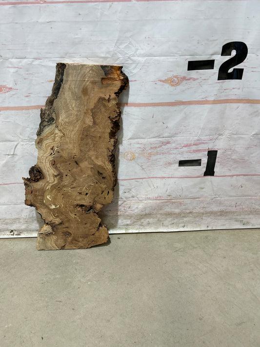 Live Edge Maple Sku#27100M-2