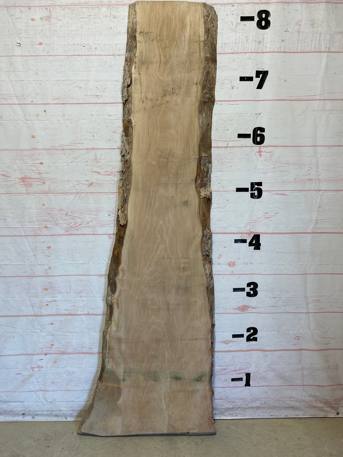 Live Edge Sycamore Sku#26271-36