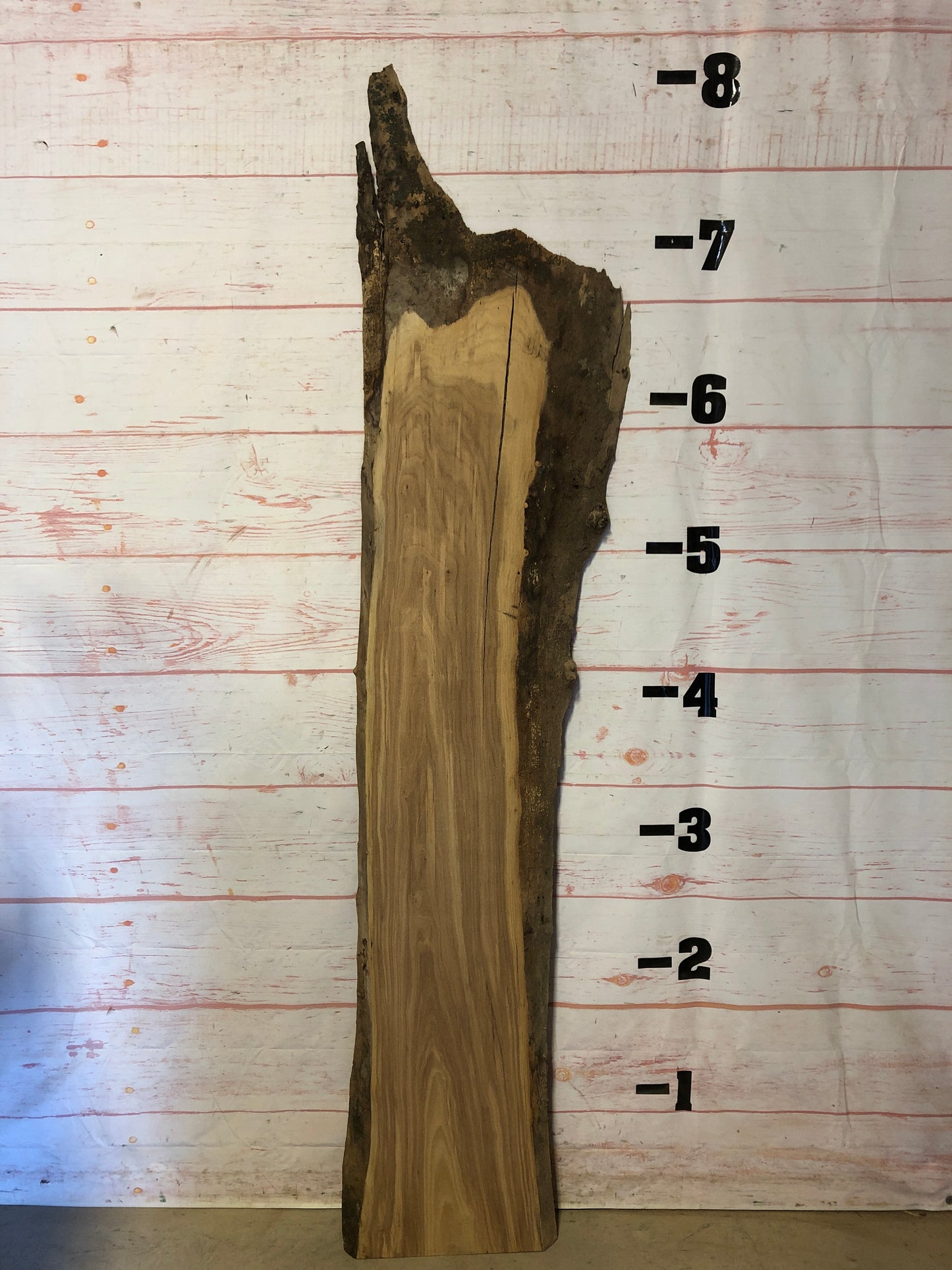 Live Edge Elm Sku# 21656H-19