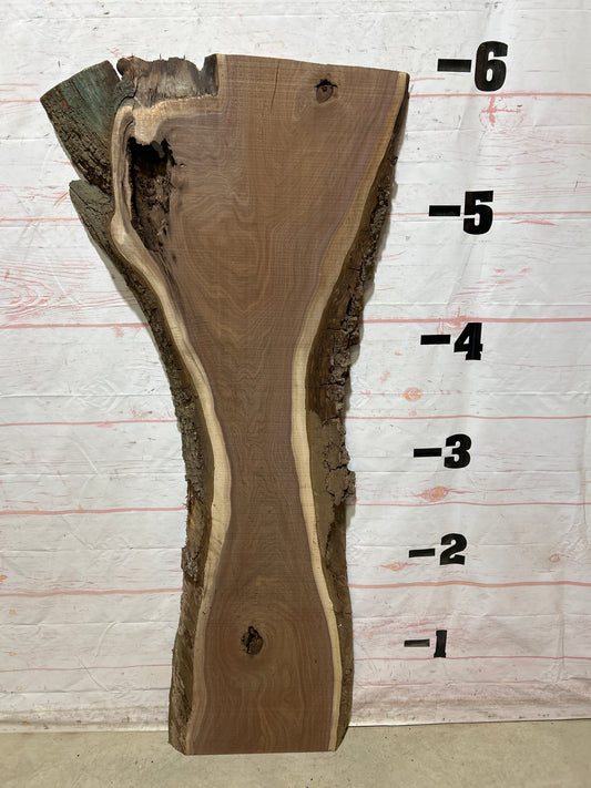 Live Edge Walnut Sku#27185A-25