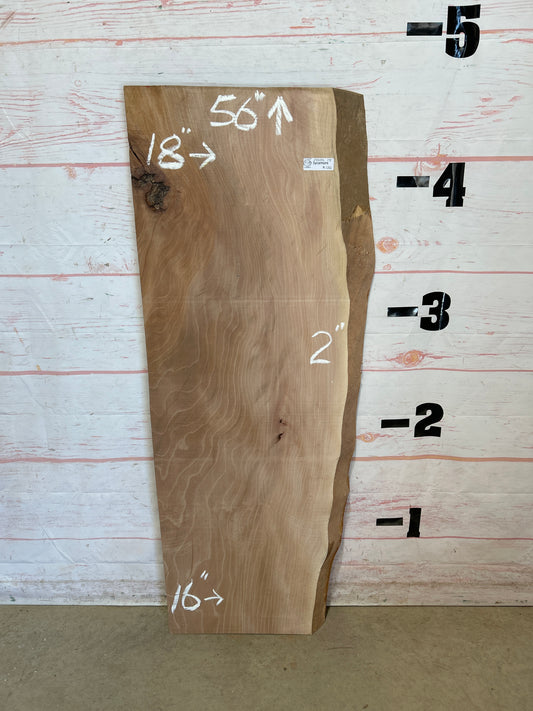 Live Edge Sycamore Sku#25533-13
