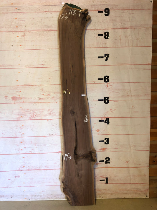 Live Edge Walnut Sku#22753M-20