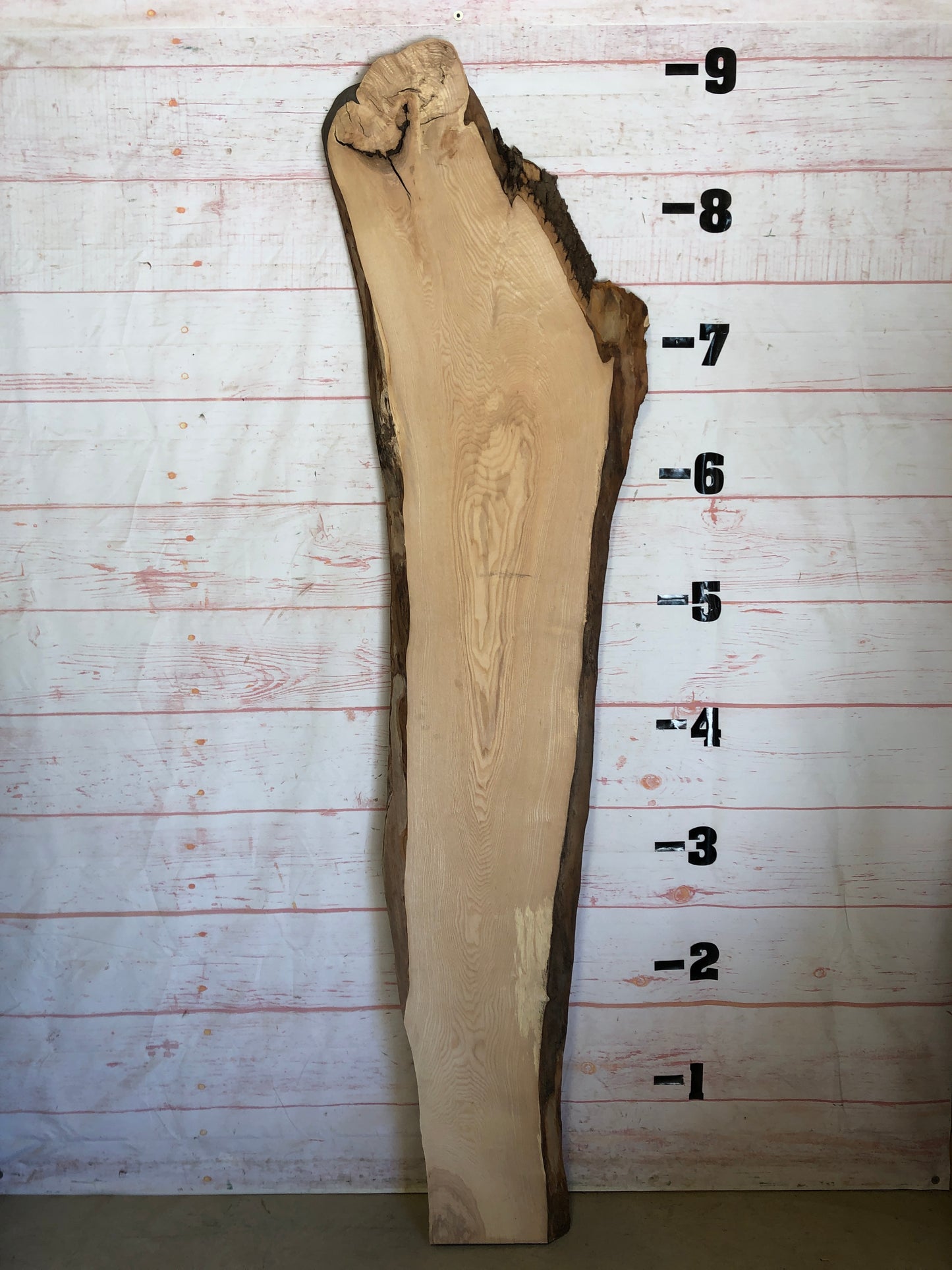 Live Edge Ash Sku#23095-30