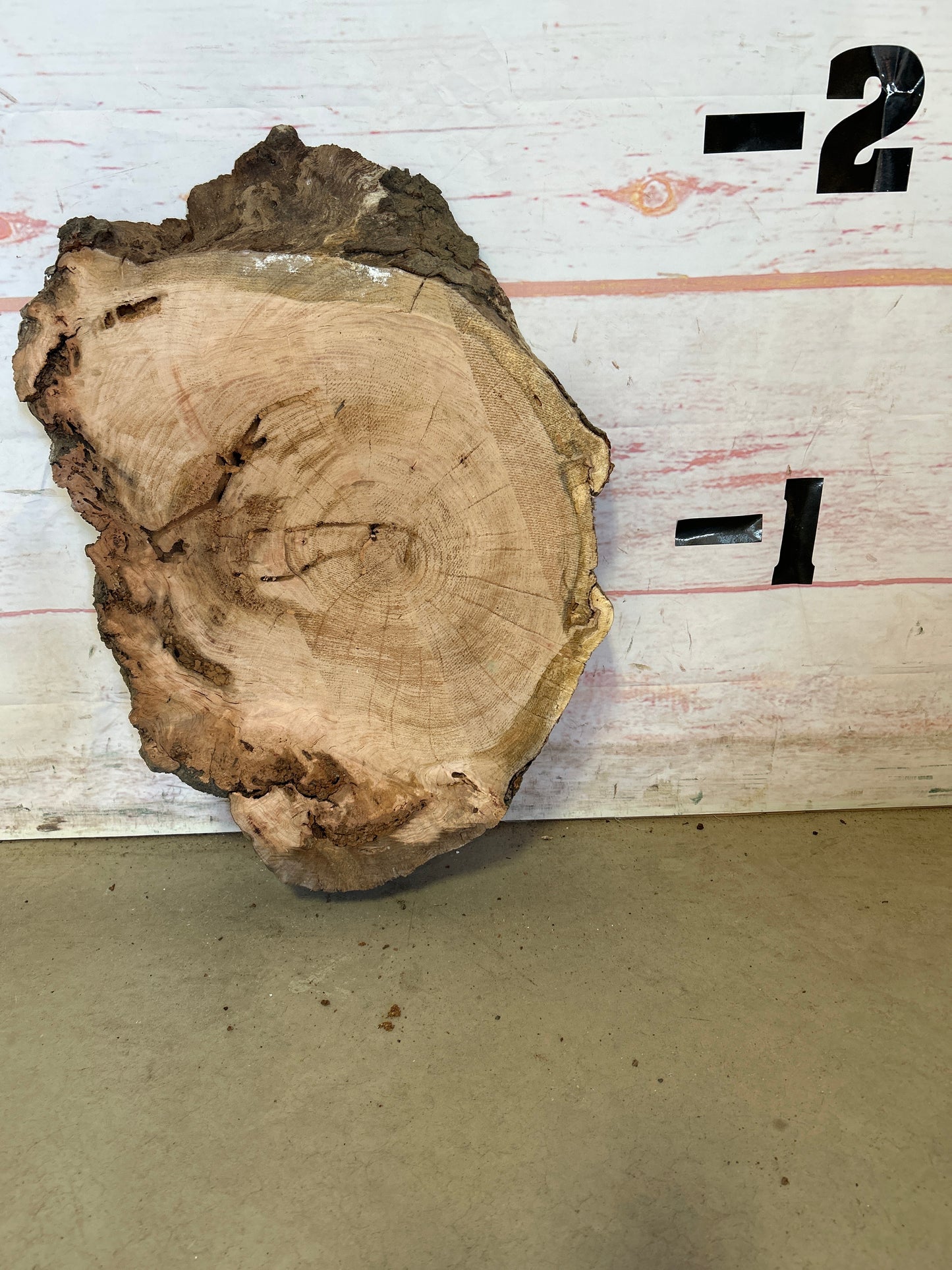 Live Edge Cherry Cookie Sku#25149M
