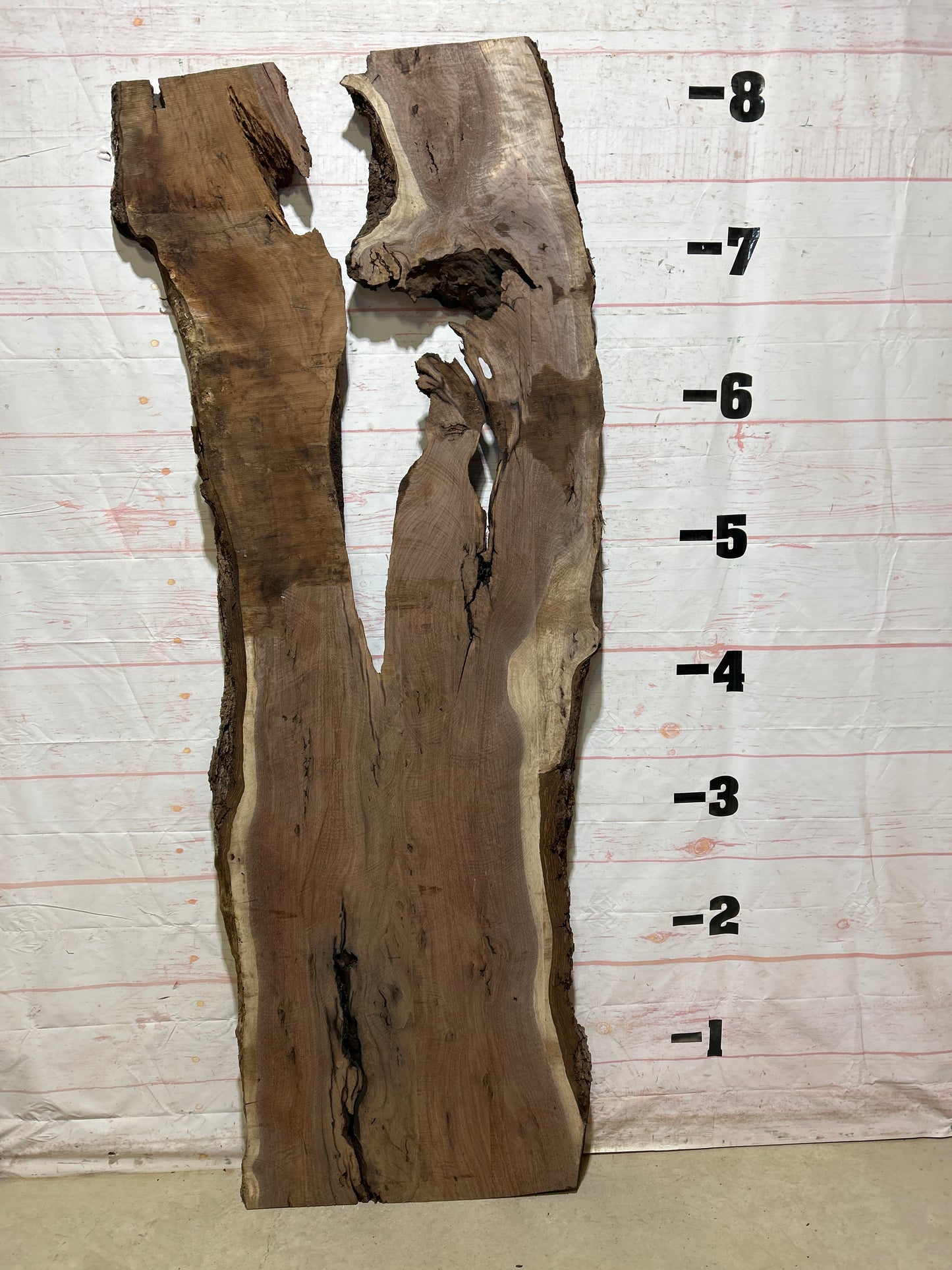 Live Edge Walnut Sku#27199J-50