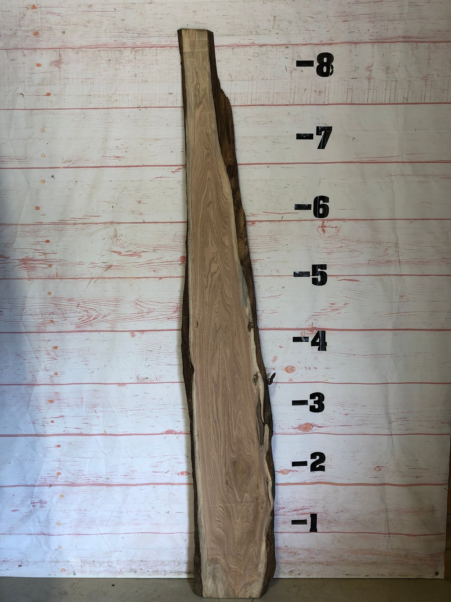 Live Edge Butternut Sku#22810-12