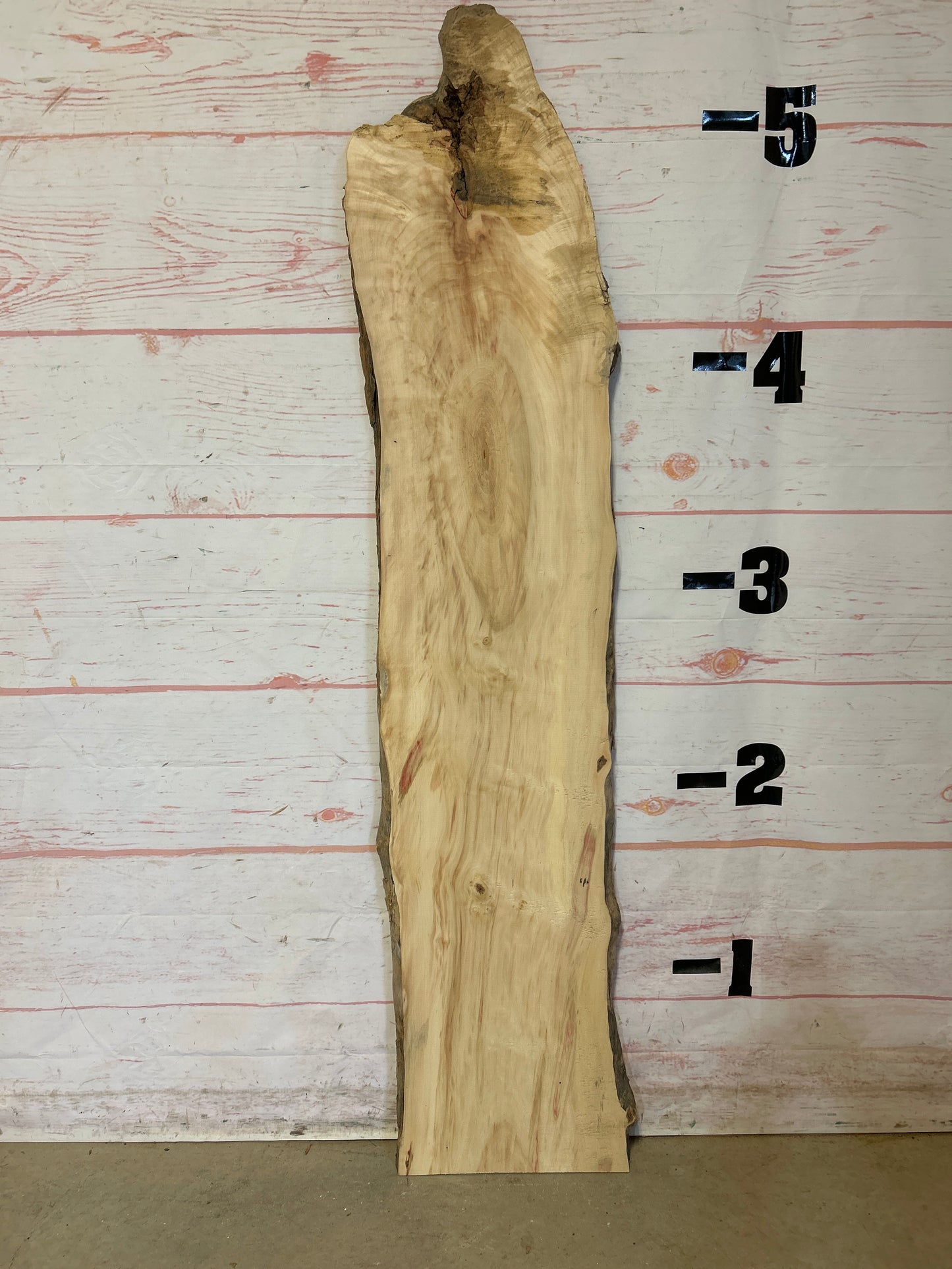 Live Edge Box Elder Sku#25044E-9