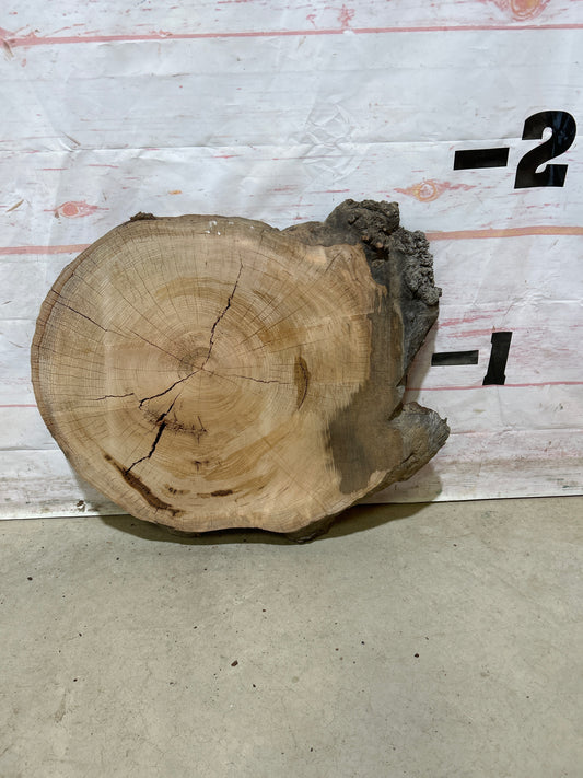 Live Edge Cherry Sku#26956M
