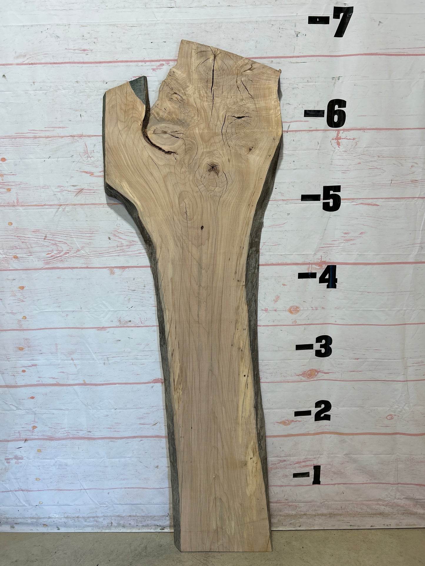 Live Edge Maple Sku#26167B-22