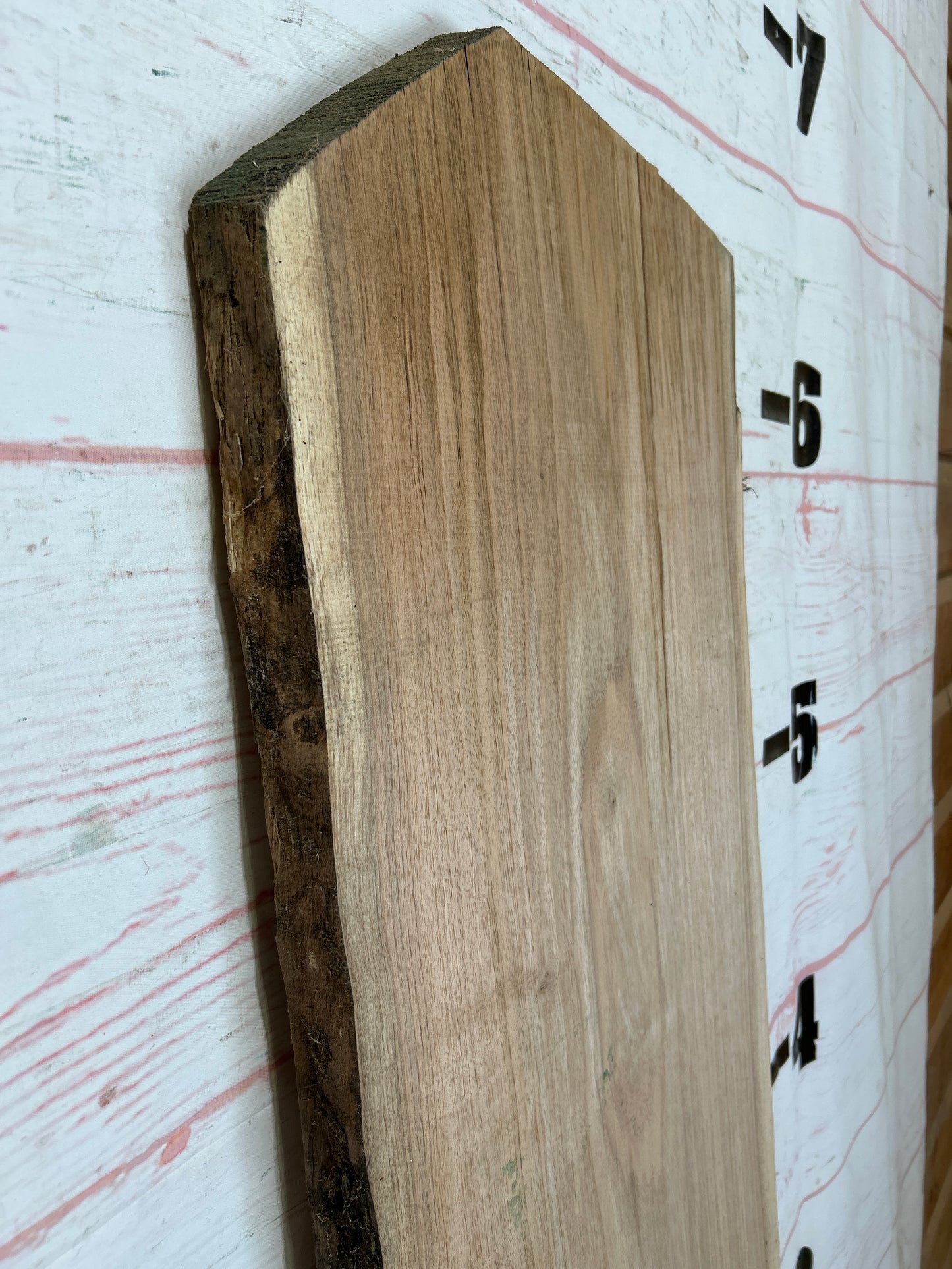Live Edge Butternut Sku#25934C-14